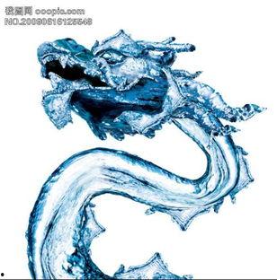 好看的龙的图片,探寻东方神兽的奇幻画卷