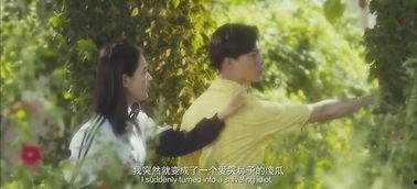 夏洛的烦恼背景音乐,夏洛烦恼音乐旋律下的青春回忆录